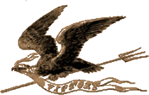 The War Of 1812 Timeline Timetoast Timelines Did The War Hawks Have A Symbol Png Hawks Icon