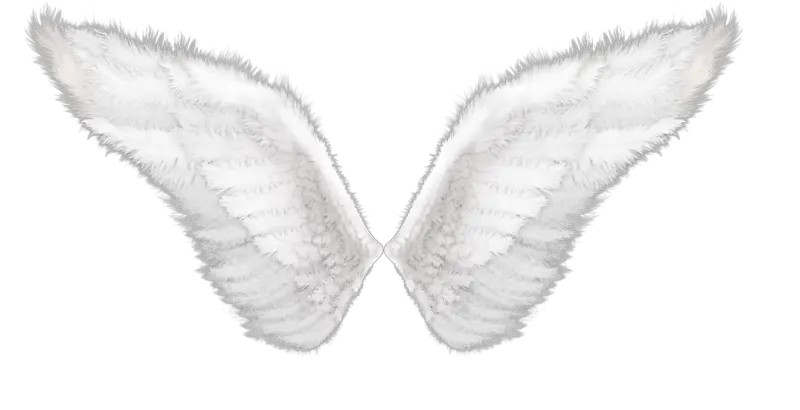 Angel Wings Transparent Png 1080p