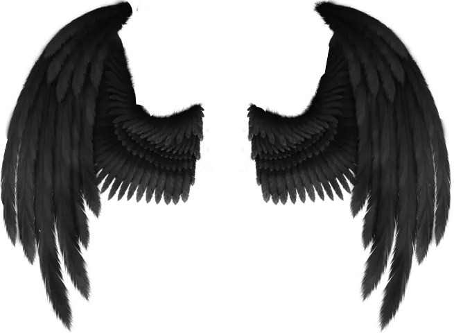 Angel Wings Transparent Png Pink